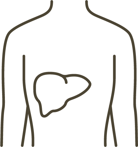 Liver Optimization 4-Week Guided Program